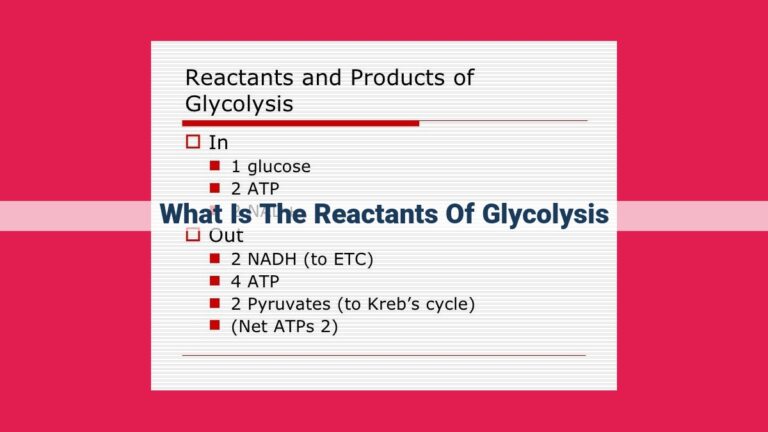 what is the reactants of glycolysis