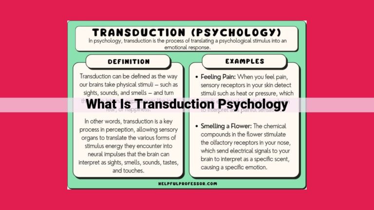 what is transduction psychology