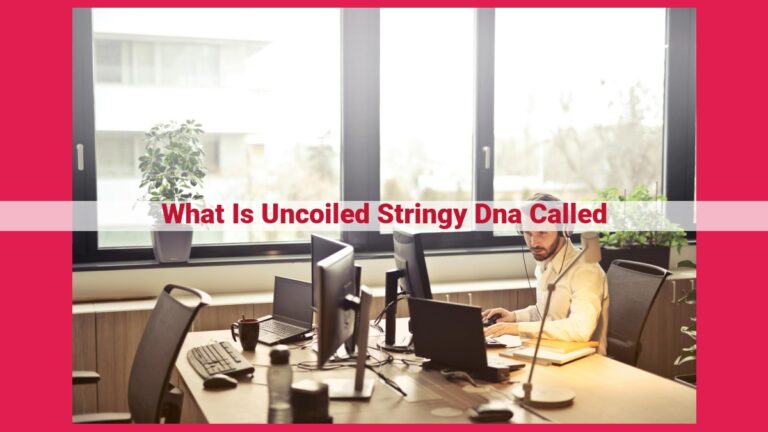 what is uncoiled stringy dna called