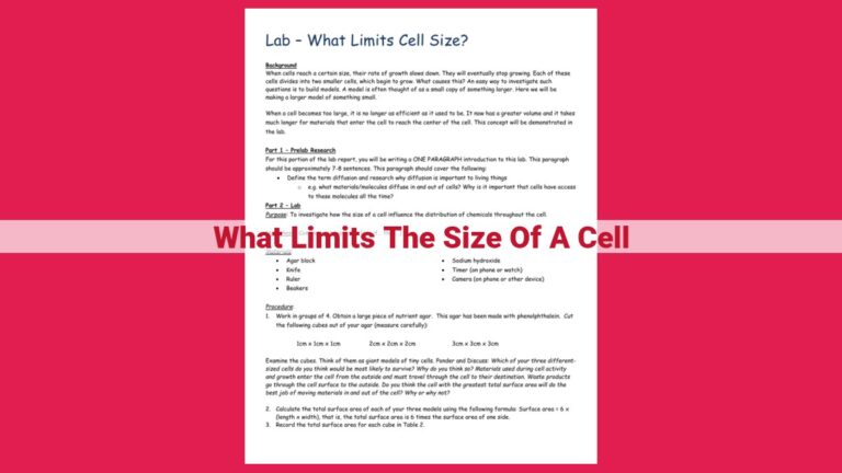 what limits the size of a cell