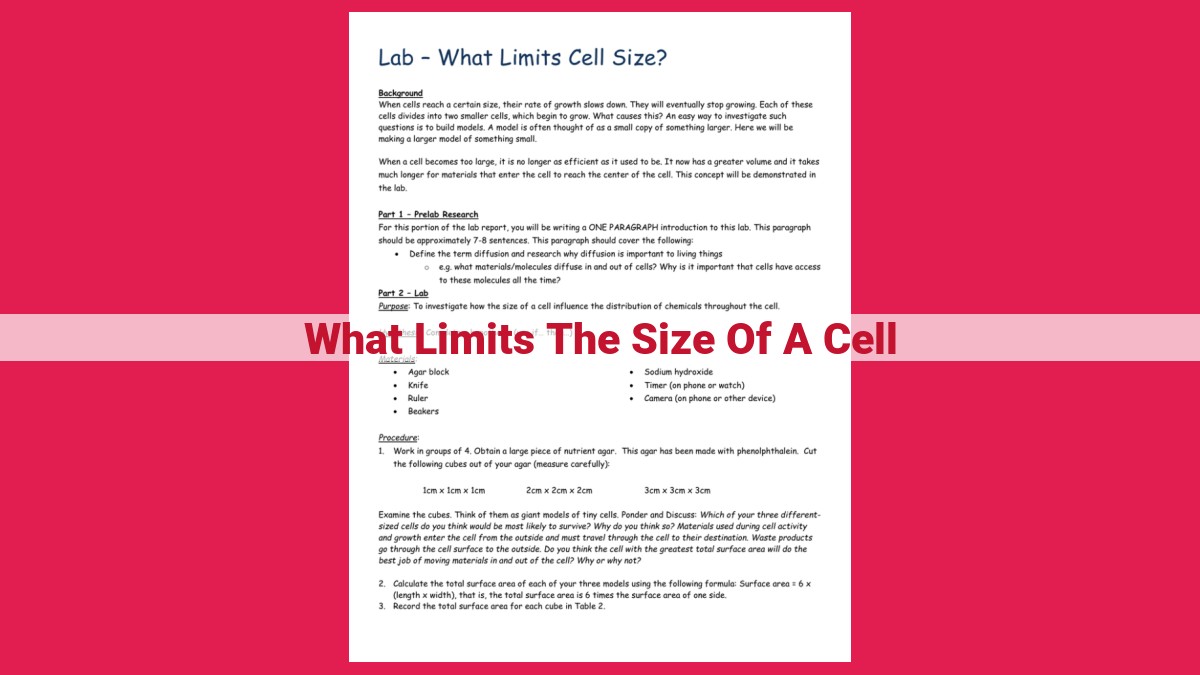 what limits the size of a cell