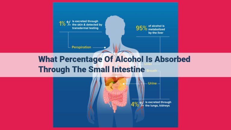 what percentage of alcohol is absorbed through the small intestine