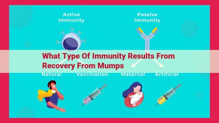 what type of immunity results from recovery from mumps