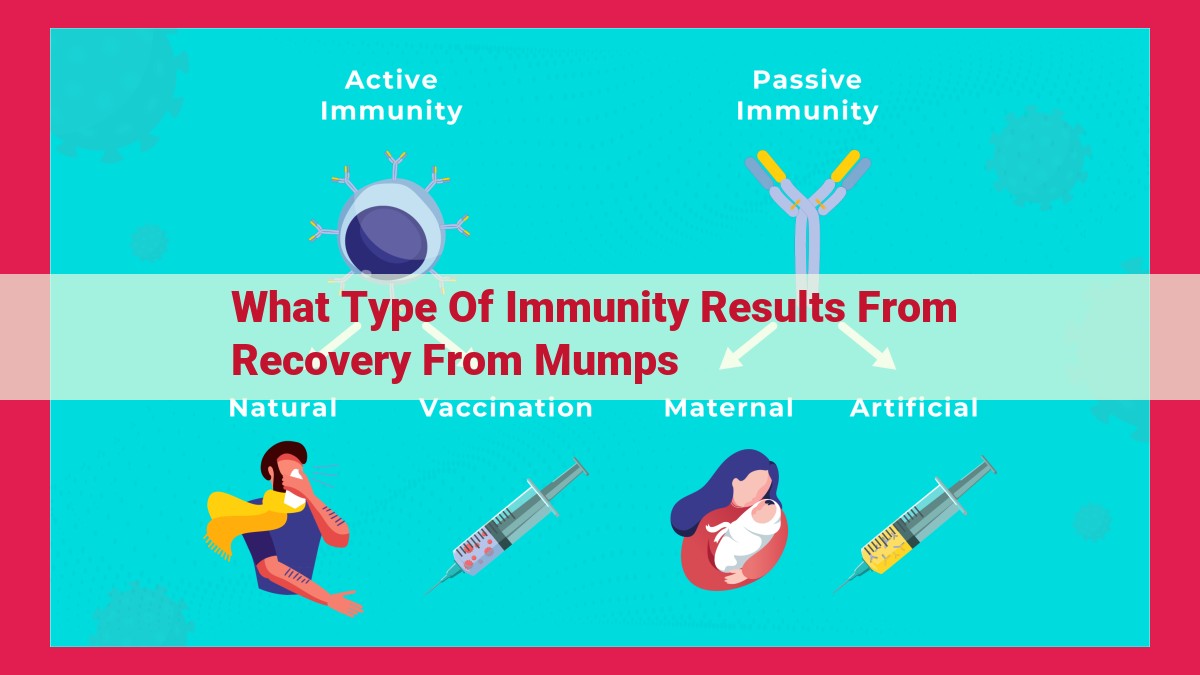 what type of immunity results from recovery from mumps