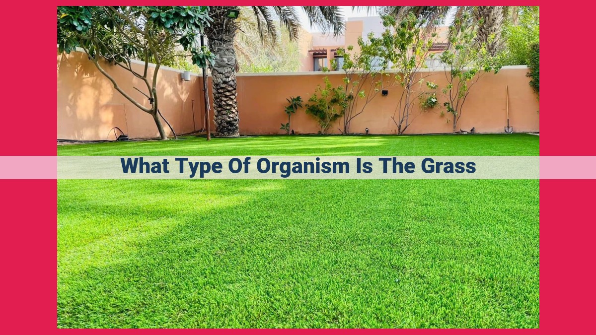 what type of organism is the grass