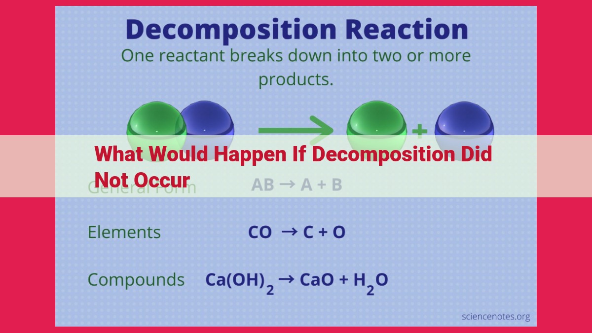 what would happen if decomposition did not occur